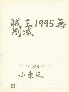 贼王1995无删减
