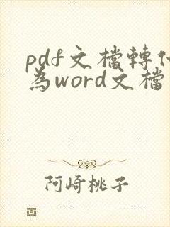 pdf文档转化为word文档