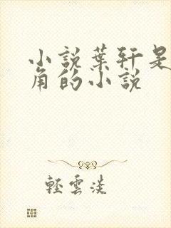 小说叶轩是男主角的小说