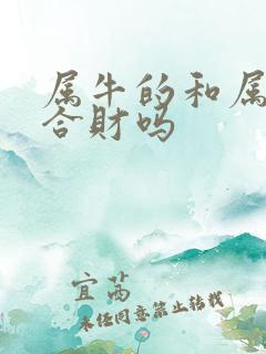 属牛的和属牛的合财吗
