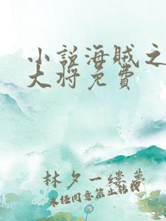 小说海贼之文虎大将免费