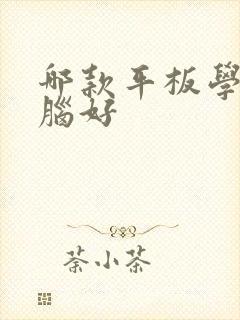 哪款平板学习电脑好