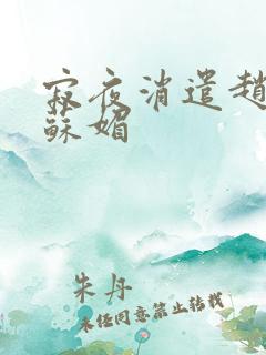 寂夜消遣赵大宝苏媚