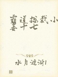 霸道总裁小娇妻姜十七