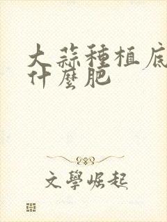 大蒜种植底肥用什么肥