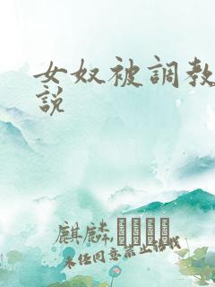 女奴被调教的小说