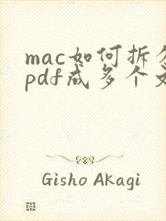 mac如何拆分pdf成多个文件
