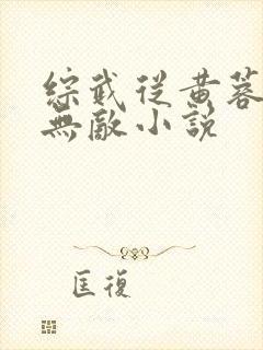 综武从黄蓉开始无敌小说