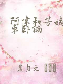 阿伟和芳姨坐火车卧铺