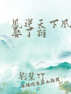凤逆天下凰战野娶了谁