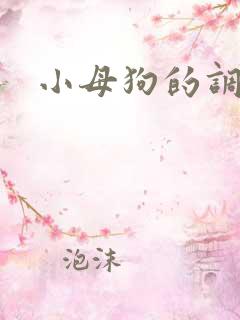 小母狗的调教