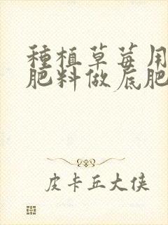 种植草莓用什么肥料做底肥最好