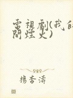 电视剧(我的人间烟火)