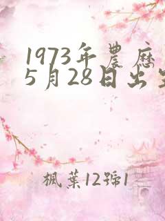 1973年农历5月28日出生命运