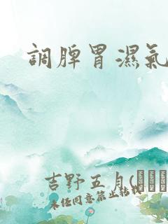 调脾胃湿气重
