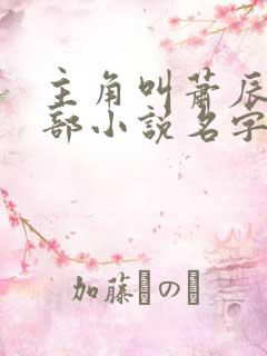 主角叫萧辰的全部小说名字