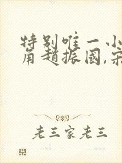 特别唯一小说主角赵振国,宋婉清