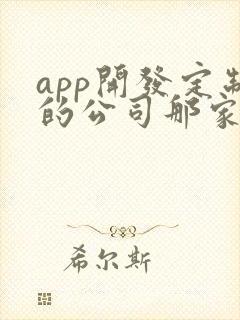 app开发定制的公司那家好