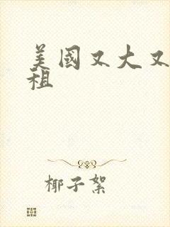 美国又大又长又租