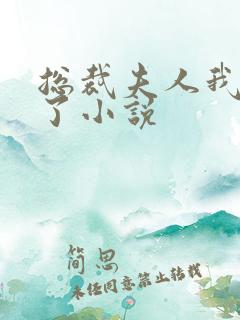 总裁夫人我当腻了小说