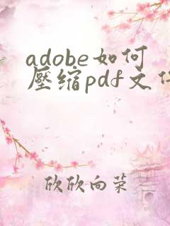 adobe如何压缩pdf文件