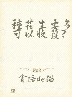 种花生要多少天可以收获?