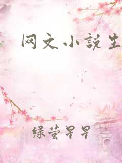 网文小说生成器