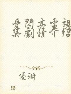 爱闪亮电视剧分集剧情介绍