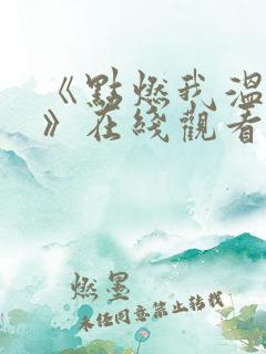 《点燃我温暖你》在线观看