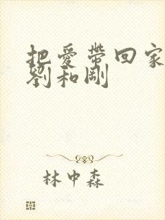 把爱带回家歌曲刘和刚