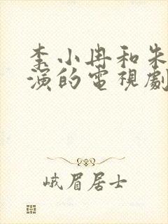 李小冉和朱亚文演的电视剧是什么
