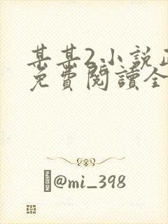 某某2小说正版免费阅读全文无弹窗