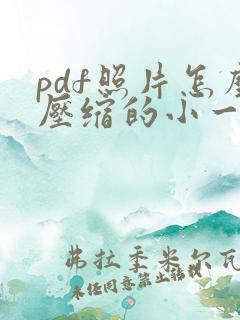 pdf照片怎么压缩的小一点