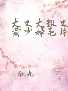 大又大粗又爽又黄少妇毛片