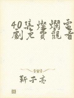 40集灿烂电视剧免费观看
