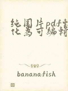 纯图片pdf转化为可编辑文件