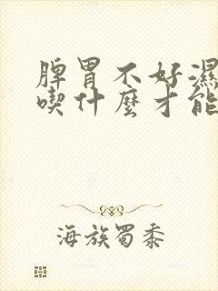 脾胃不好湿气重吃什么才能好