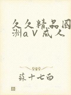 久久精品国产亚洲a∨成人