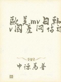 欧美mv日韩mv国产网站进入