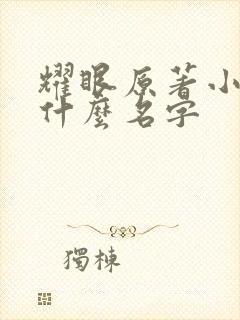 耀眼原著小说叫什么名字