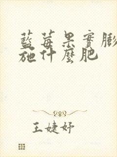 蓝莓果实膨大期施什么肥