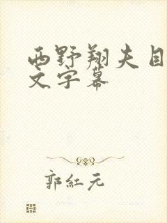 西野翔夫目犯中文字幕