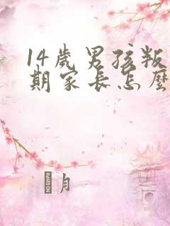14岁男孩叛逆期家长怎么办