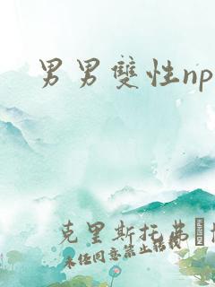 男男双性np文