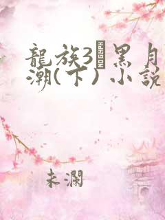 龙族3·黑月之潮(下) 小说txt