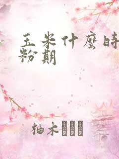 玉米什么时候授粉期