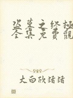 盗墓之终极笔记全集免费观看