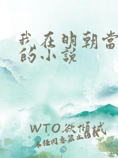 我在明朝当暴君的小说
