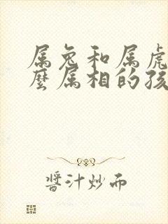 属兔和属虎生什么属相的孩子好