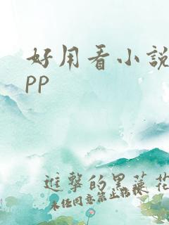 好用看小说的app